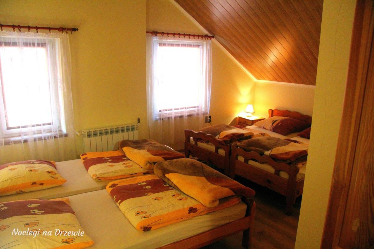 Noclegi Na Drzewie Cisna Exterior foto