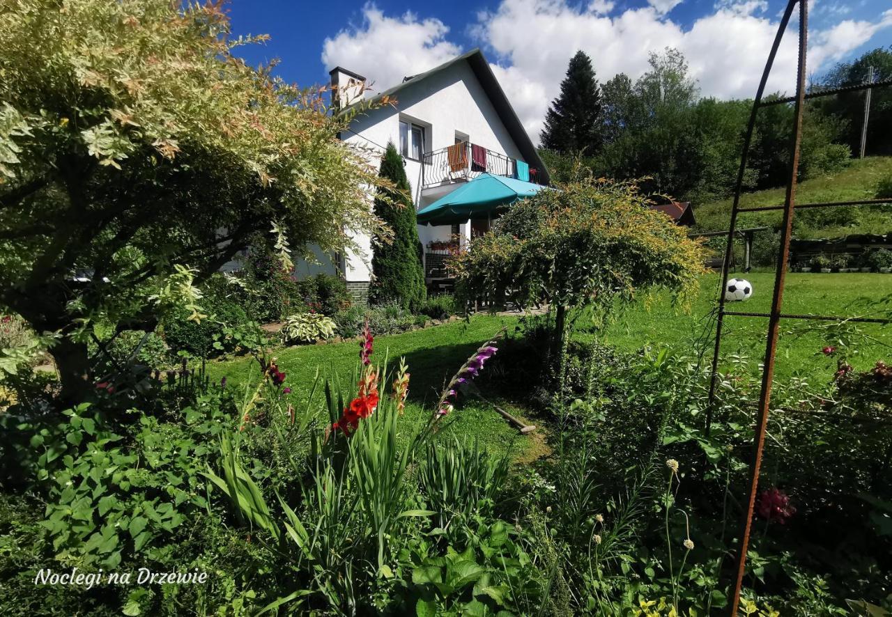 Noclegi Na Drzewie Cisna Exterior foto